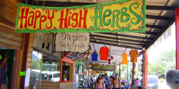 happy-high-herbs.jpg