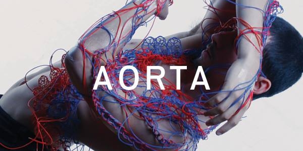 aorta.jpg