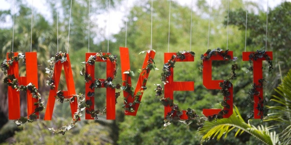 havest.jpg