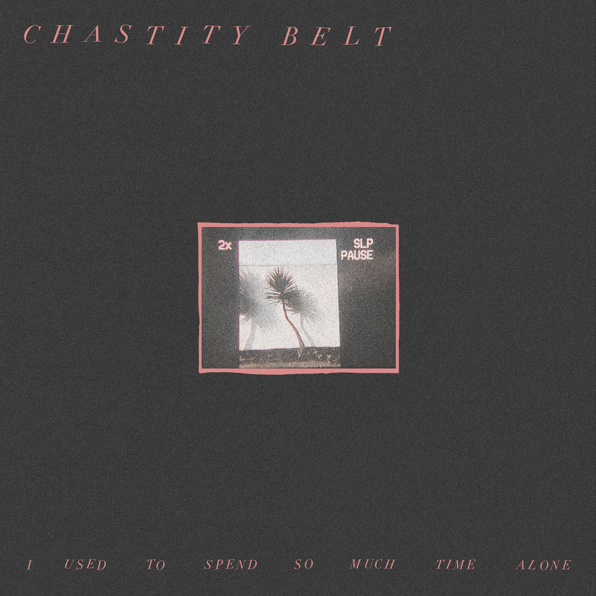 chastitybelt.jpg