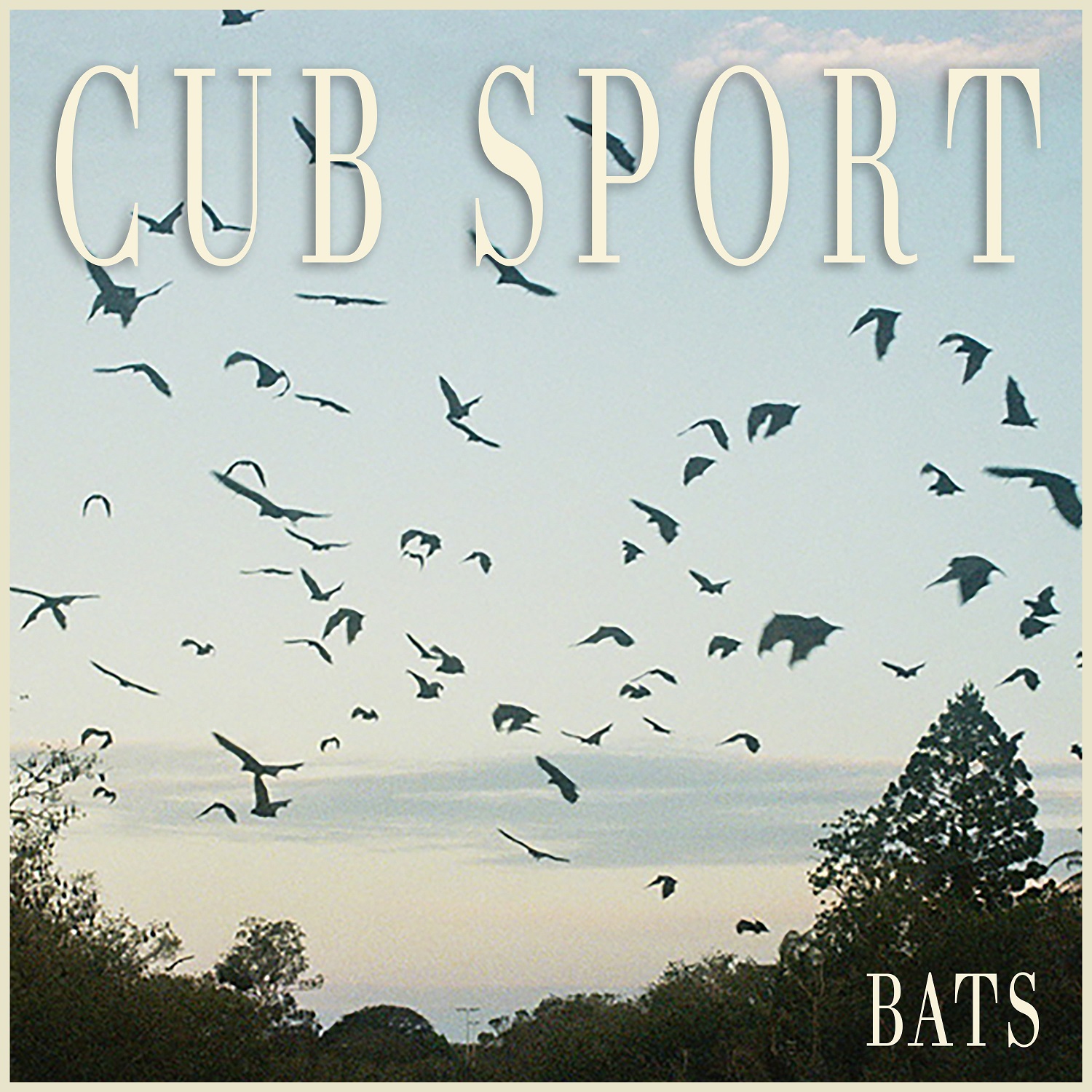 cubsportbatsalbumcover.jpg