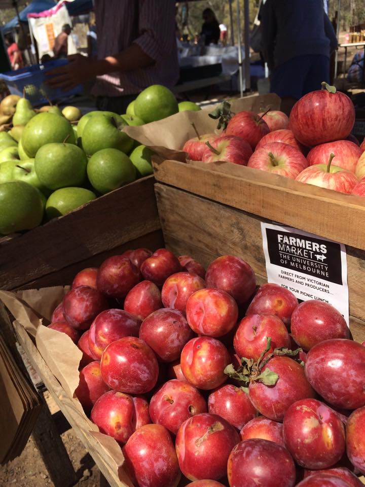 fresh-apples-plums.jpg