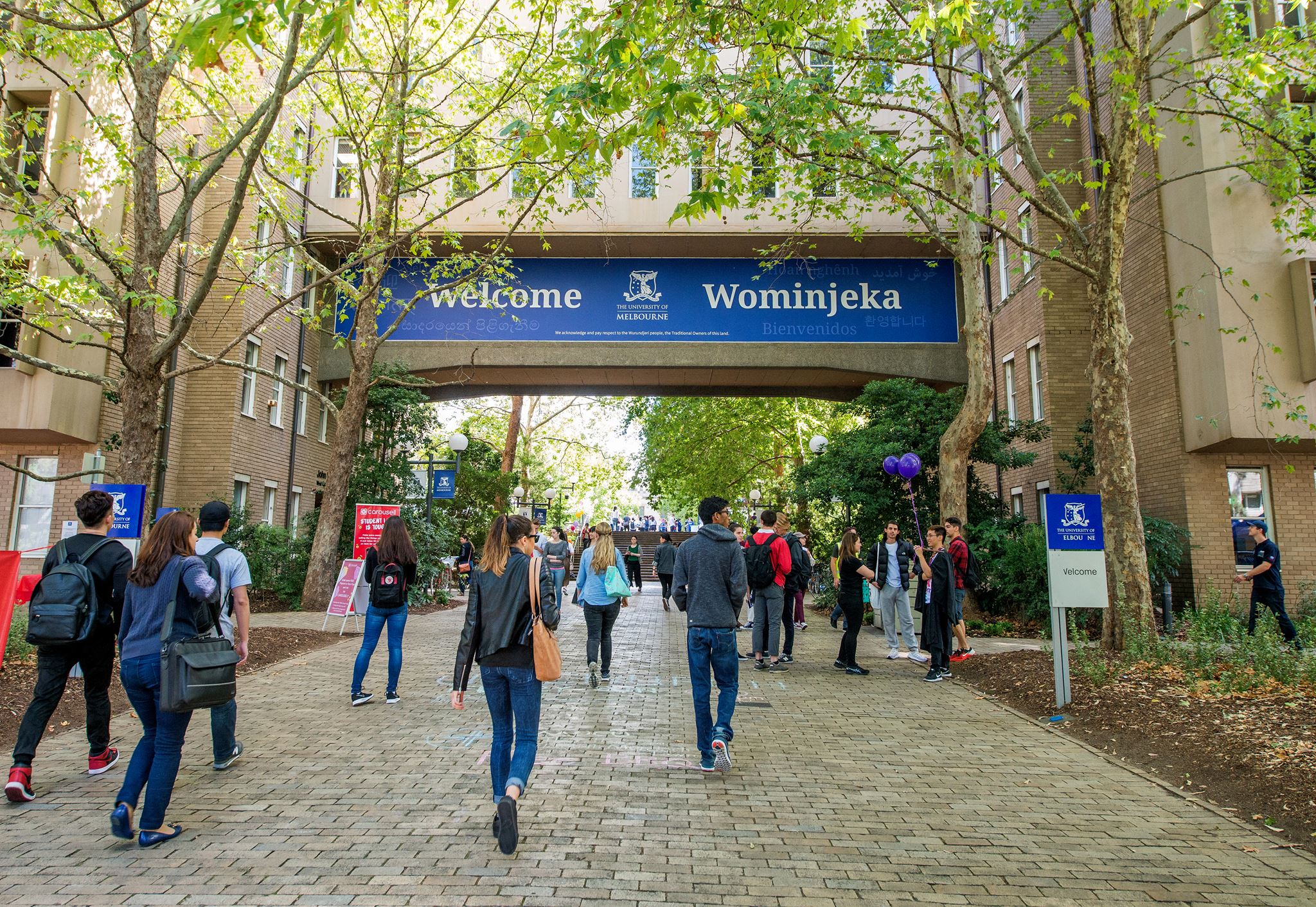 Students must now pass a course on sexual consent to enrol at Melbourne Uni