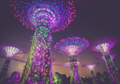 Supertree Grove, Singapore