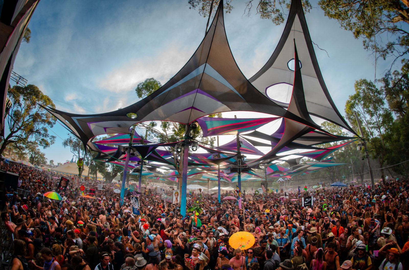 How Rainbow Serpent's evolving program keeps it culturally relevant two