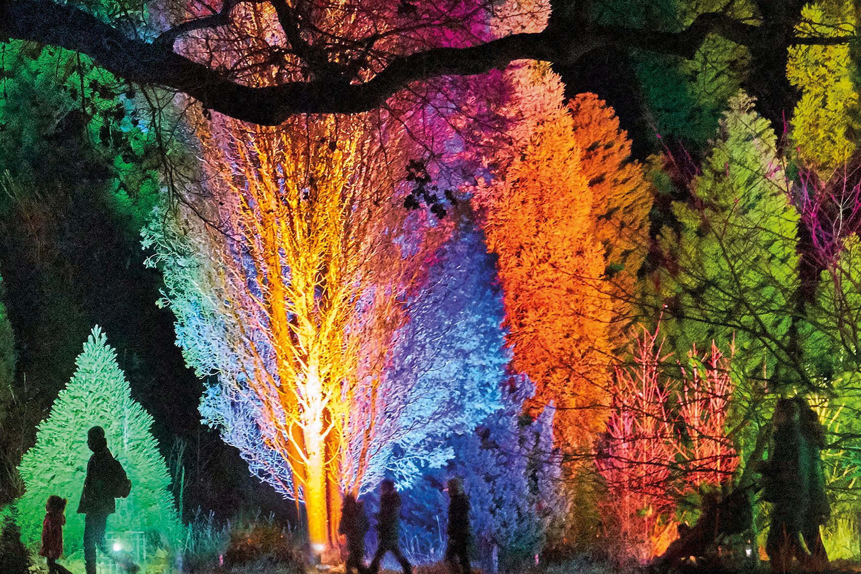 A vibrant light installation is taking over the Royal Botanic Gardens
