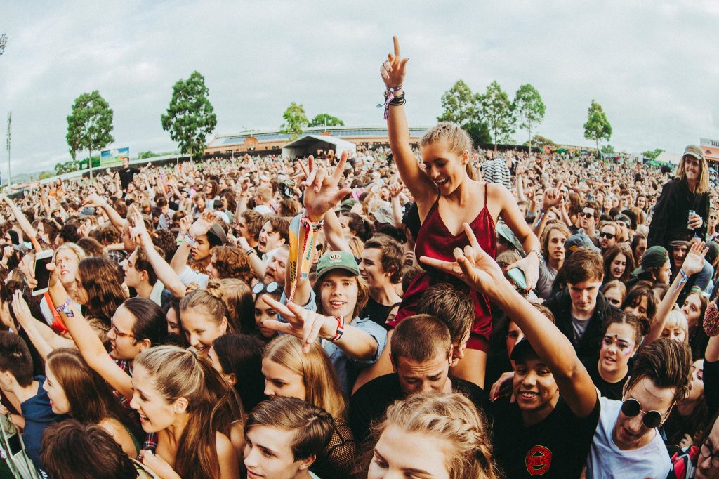 Groovin the moo