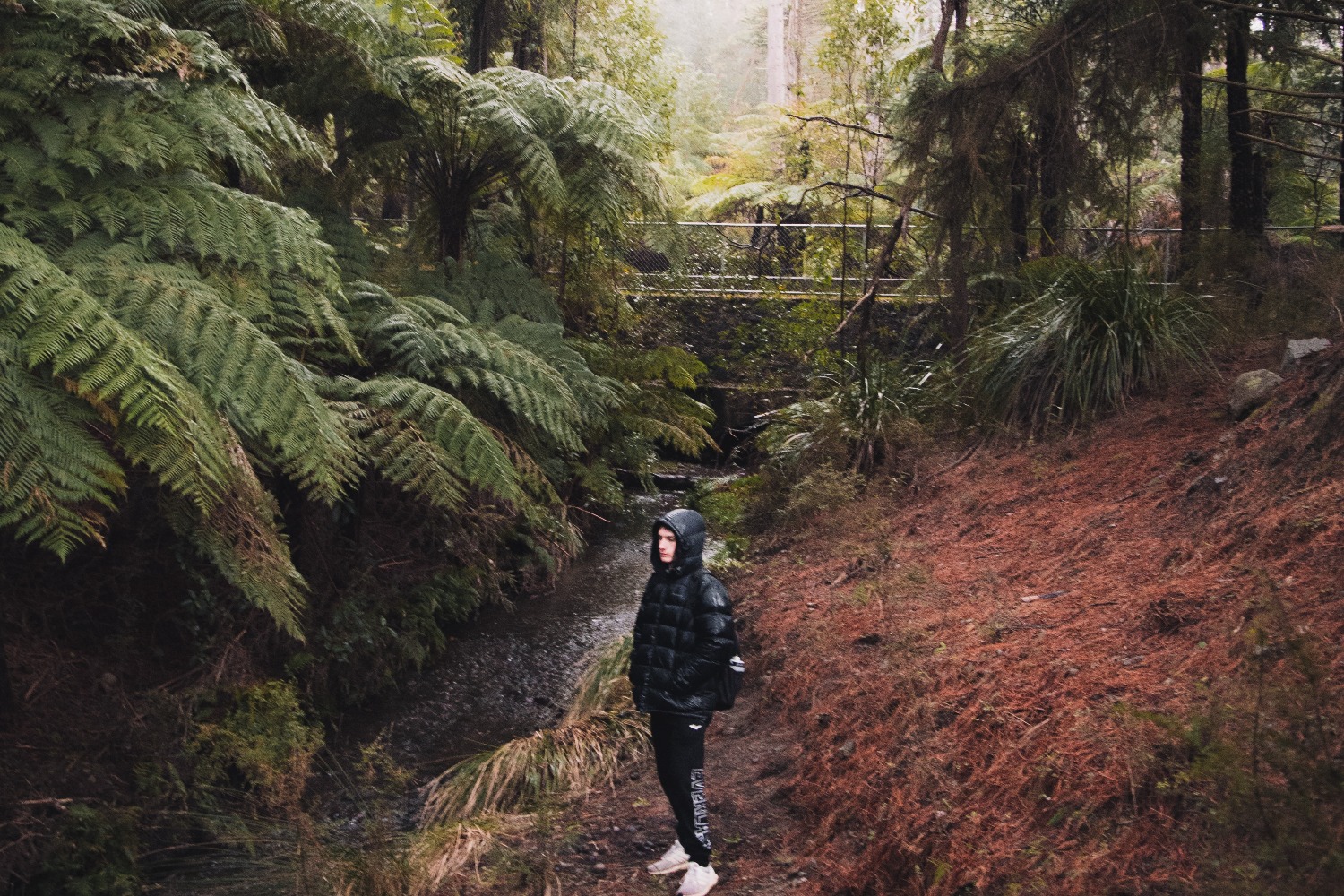 Nine new Victorian hiking tracks have opened thanks to $100m funding