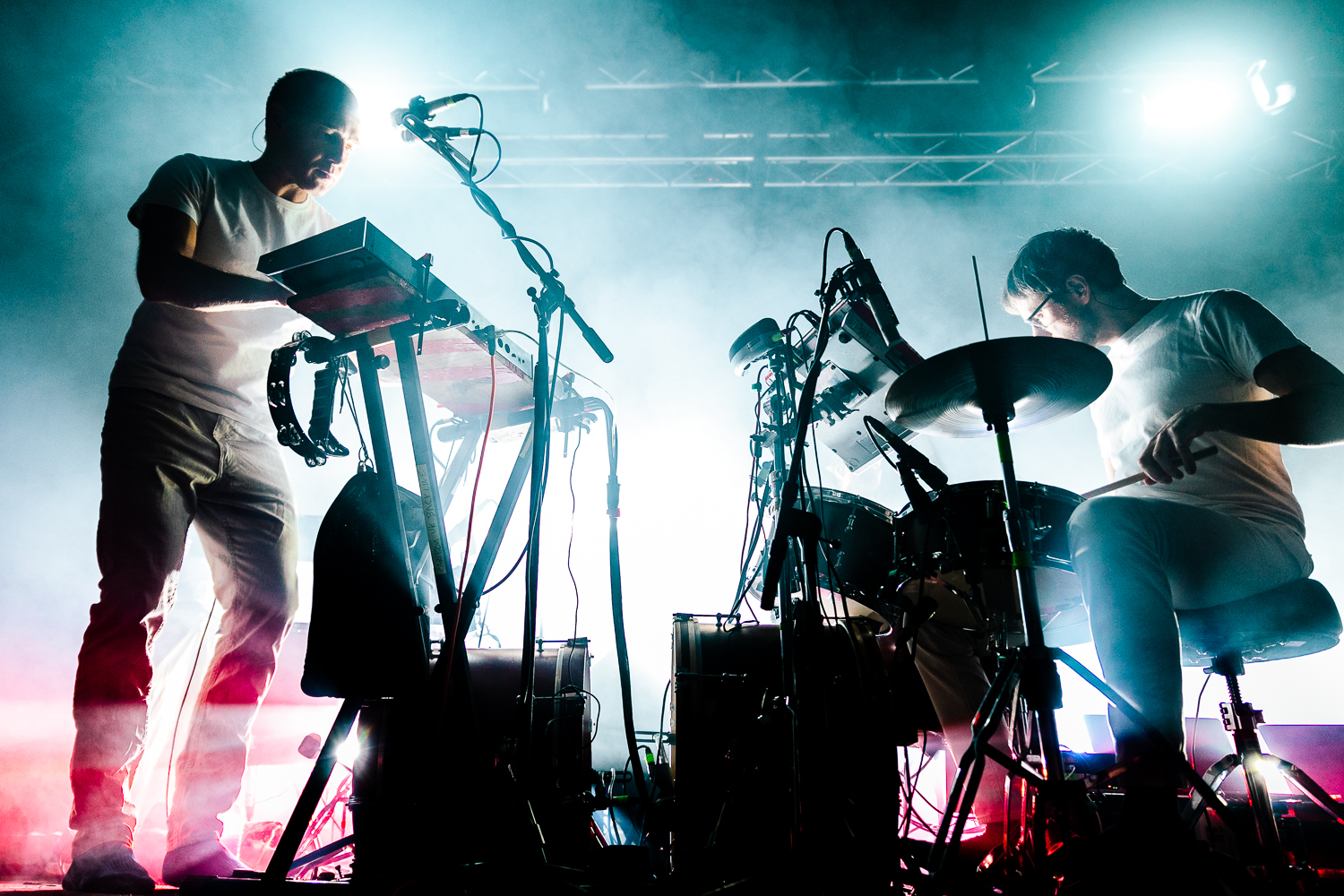 Caribou