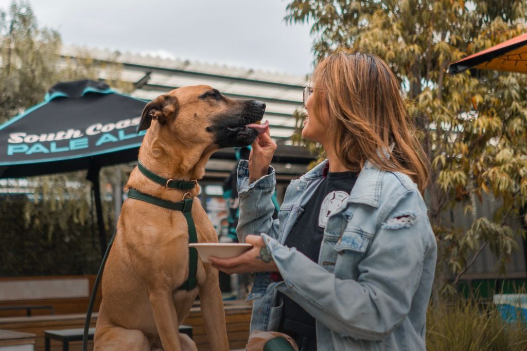 Treat your dogs to a free gourmet pet lunch in Thornbury this weekend