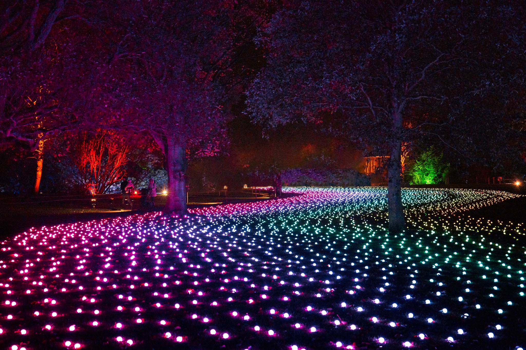 The Botanic Gardens have reimagined Lightscape for 2023 Beat Magazine