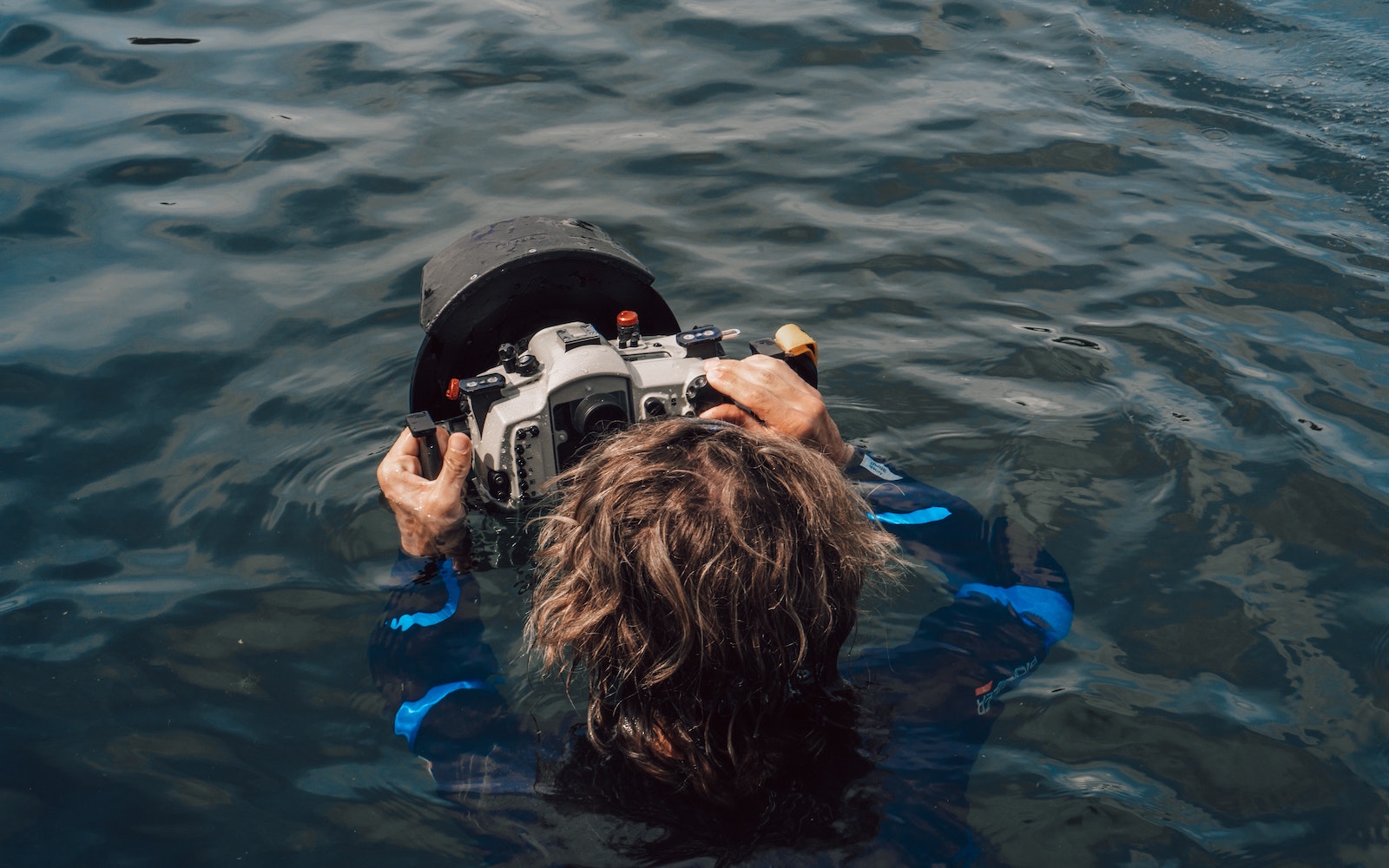 There's an ocean-themed film festival coming to Melbourne - Vimarsana News