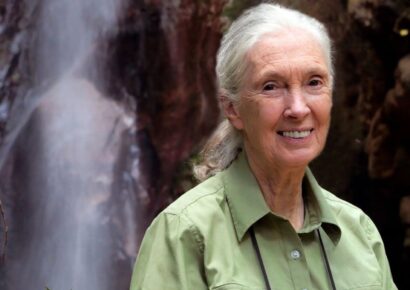 Jane Goodall show