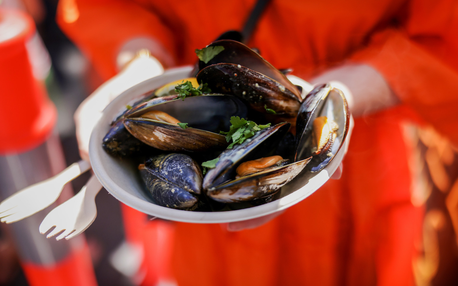 mussel and jazz festival