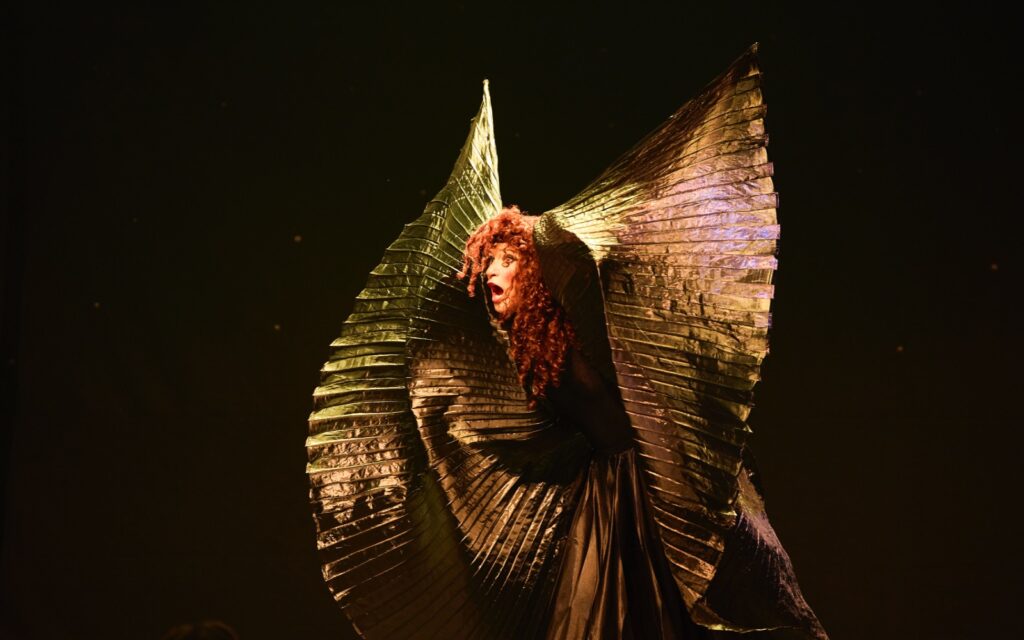 An Evening Without Kate Bush