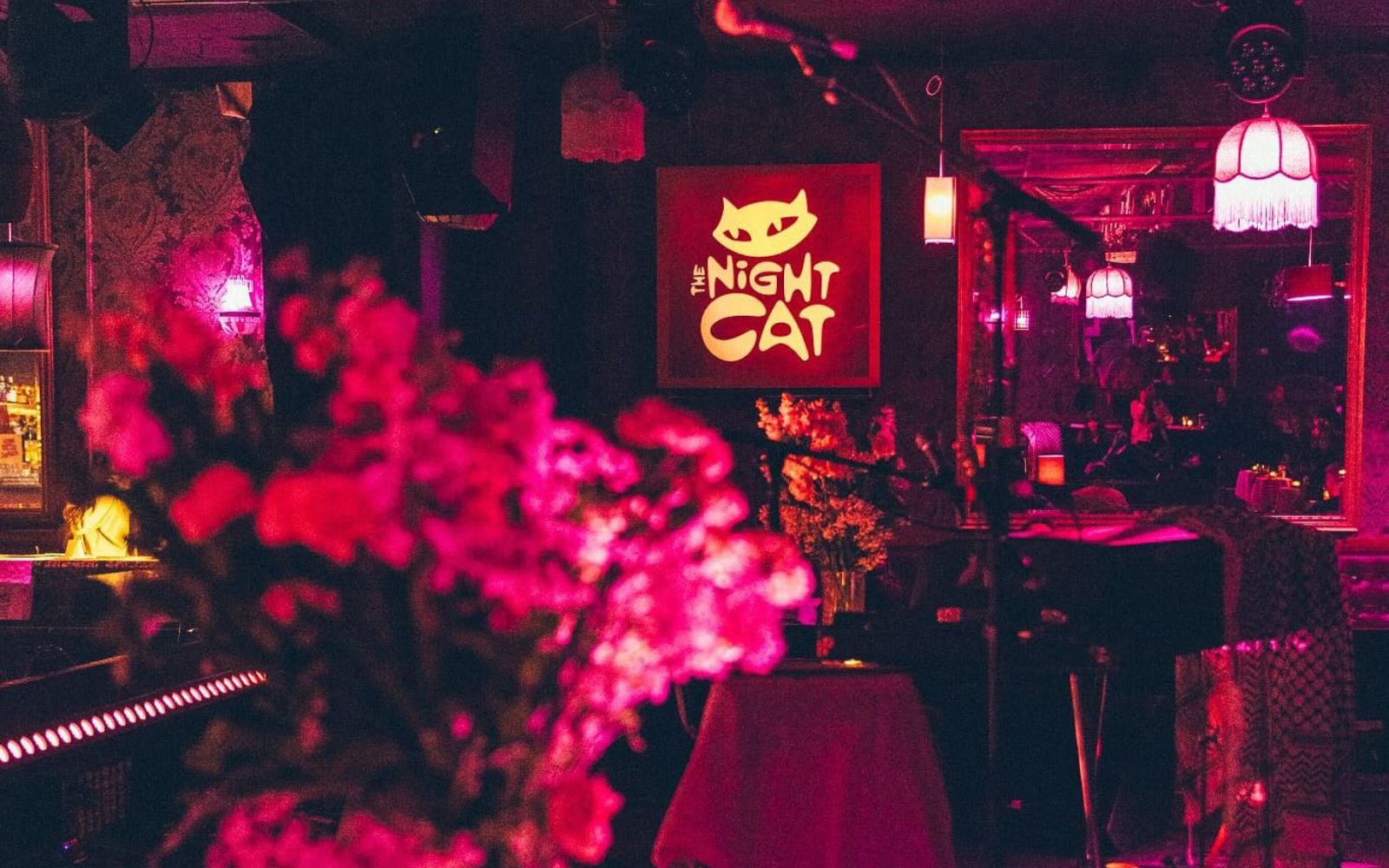 melbourne night cat fitzroy live music venue