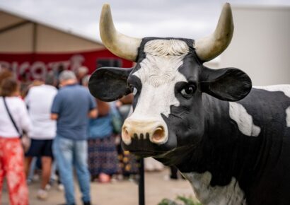 south melbourne market burrata festival