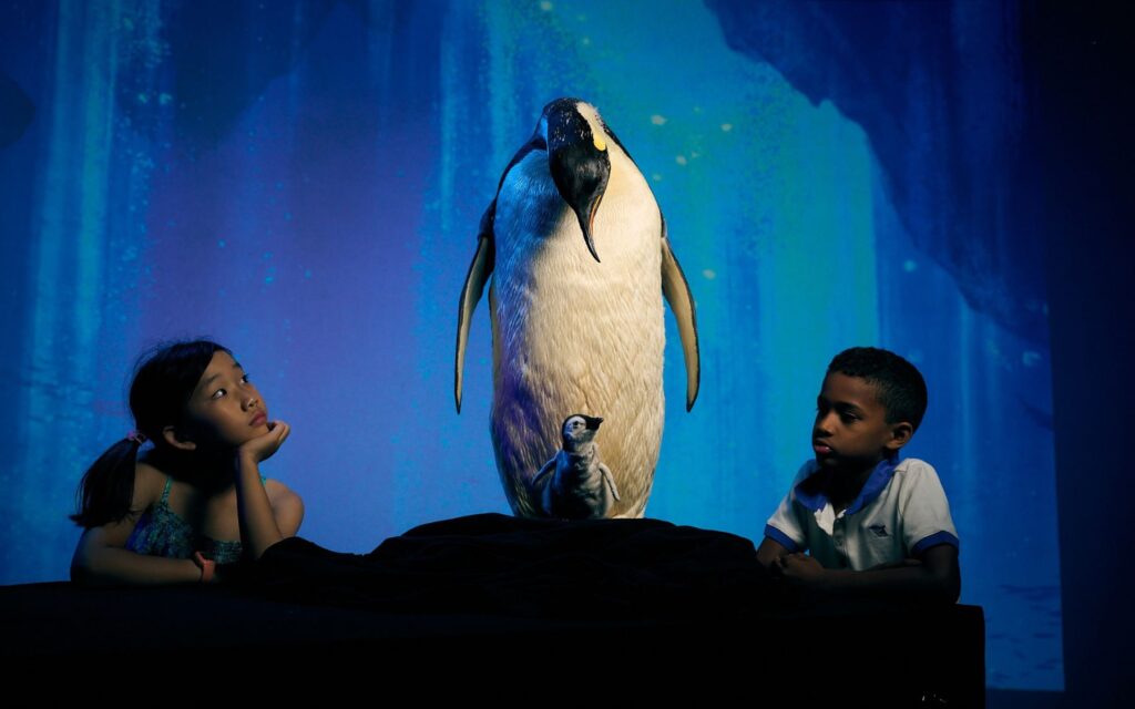 melbourne museum our wondrous planet