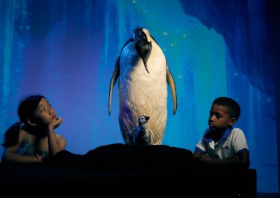 melbourne museum our wondrous planet