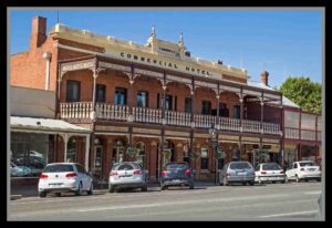 street carp.