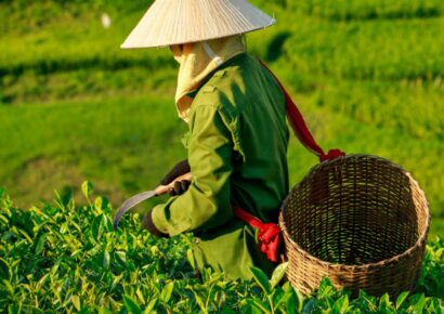 Abbotsford Convent oz tea fest