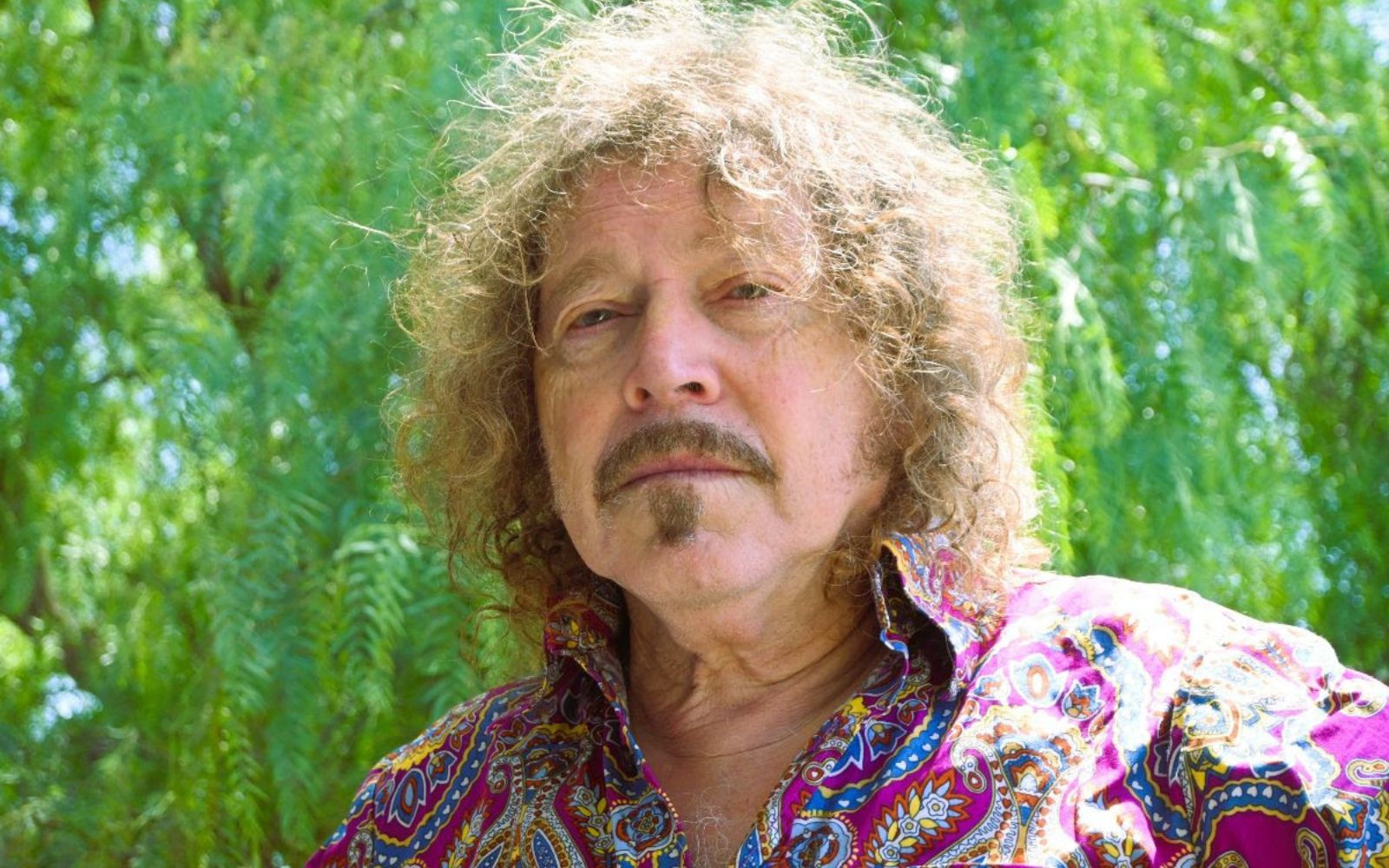 Kim Salmon The Scientists