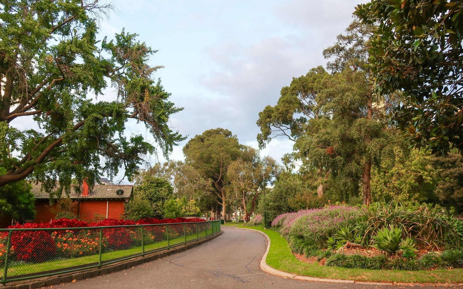 A winding pathway through a Melbourne park lined with mature eucalyptus trees, red flower beds and purple flowering shrubs, with a red brick building visible to the left.
