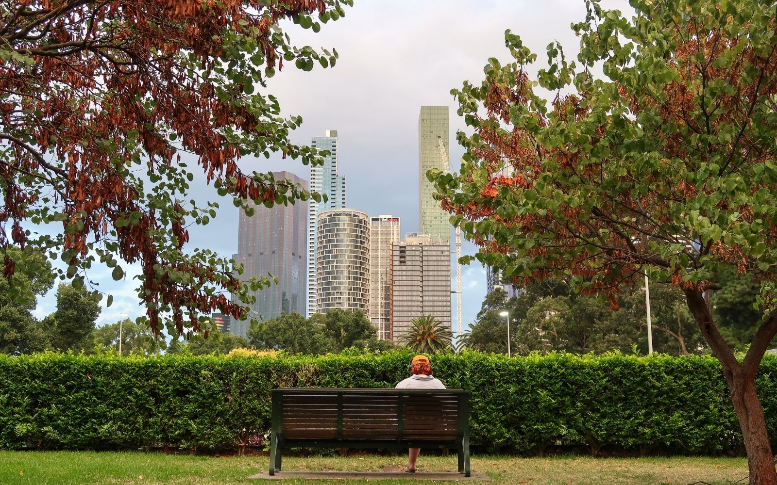 A person sitting on a park bench framed by autumn-tinged trees, looking out toward the Melbourne CBD skyline including the Eureka Tower and Southbank high-rises.