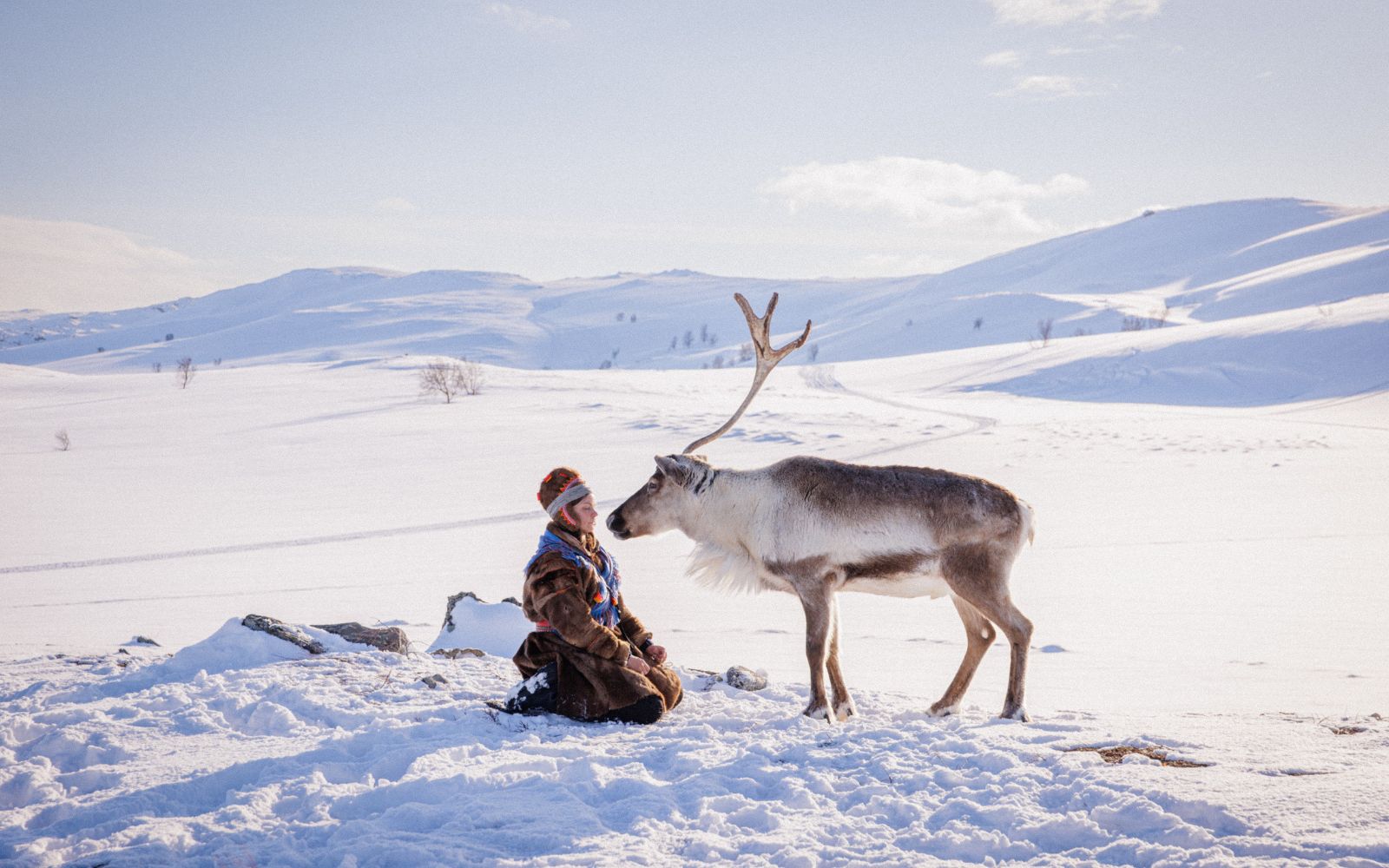 Hurtigruten Nordic Film Festival