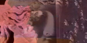 STATHIS//DAVEY//KIM