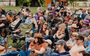 Comedy in the Vines
