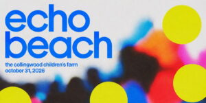 Echo Beach VI