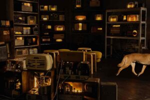 The Enormous Radio
