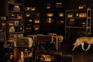 The Enormous Radio